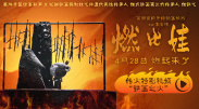 BD国语全集免费观看